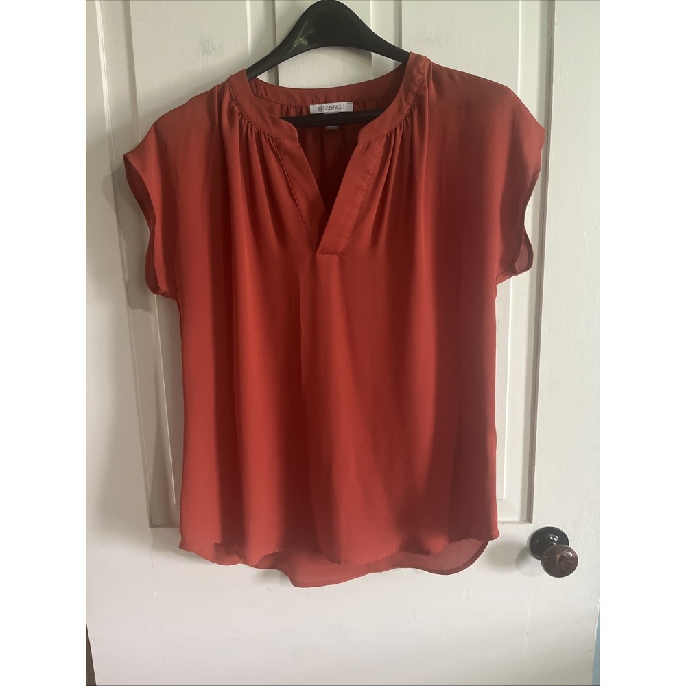 Roz & Ali Blouse Size Small Burnt Orange V Neck Top Relaxed Fall Boho